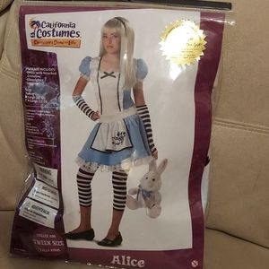 Alice costume